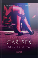 Car Sex - Sexy Erotica