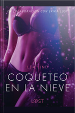 Coqueteo En La Nieve - Relato Erótico