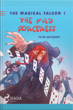 The Magical Falcon 1 - The Mad Sorceress