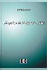 Angelae De Fulgineo Liber