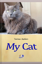 My Cat