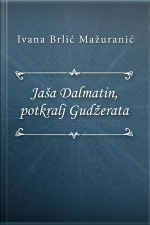 Jaša Dalmatin, Potkralj Gudžerata