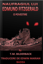 Naufragiul Lui Edmund Fitzgerald - O Povestire