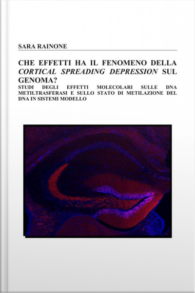 Che Effetti Ha Il Fenomeno Della Cortical Spreading Depression Sul Genoma?: Studi Degli Effetti Molecolari Sulle Dna Metiltrasferasi E Sullo Stato Di Metilazione Del Dna In Sistemi Modello