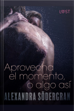 Aprovecha El Momento, O Algo Así - Relato Erótico
