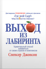 Out Of The Maze [russian Edition]