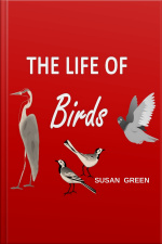 The Life Of Birds
