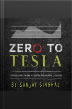 Zero To Tesla: Confessions From My Entrepreneurial Journey