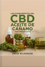 Los Fundamentos Del Aceite De Cáñamo Cbd Para Principiantes