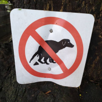 Cuidado com os jovens - Episódio 105