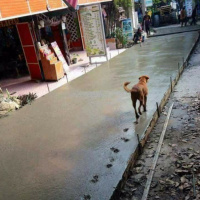 Áudio de zap é arte: não acelere! - Episódio 44