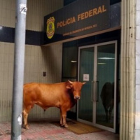 Um bom dia para reclamar - Episódio 14