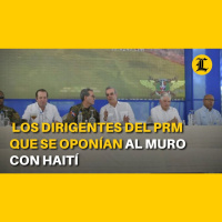 Abinader, Paliza, Lovatón y Faride