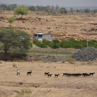 RJ Kaavya Plays Public bakri hai 12th Link