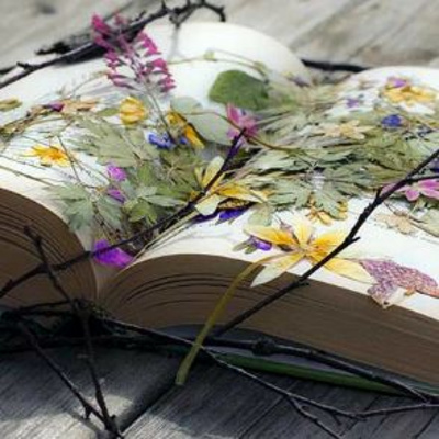 Bollywood Songs Sung By You