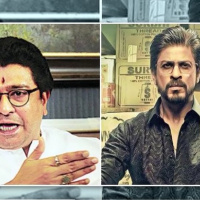 MUMBAI MNS RAJ THACKERY BULLYING Bollywood Celebrities? | Bollywood Exclusive