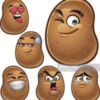 BEIZZATI_TEAM INDIA KE MAUKAPARAST NAQLI SUPPORTERS KI