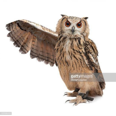 Nilams Beizzatikaralo.com