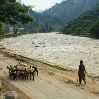 Gadariya (گڈریا) by Ashfaq Ahmed | Episode 6 | Ahsan Saeed