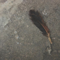 Blogaey Podcast | Ep 4 - Tootay Hue Dil Jayen Kahan