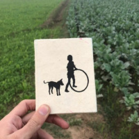 Meri Diary by Ahsan Saeed | Dalaan