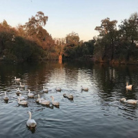 Rishtey | Ahsan Saeed