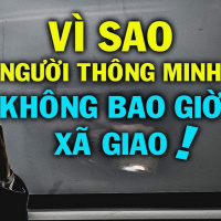 VÌ SAO người -thực sự thông minh- KHÔNG BAO GIỜ XÃ GIAO.