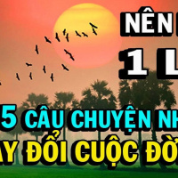 5 câu chuyện nhỏ có thể giúp thay đổi cuộc đời bạn 