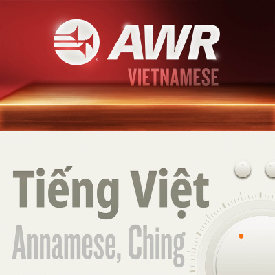 Awr Vietnamese - Ting Vit