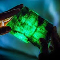 Điều bất ngờ từ truyện cổ tích Viên ngọc ước và con quạ trả ơn