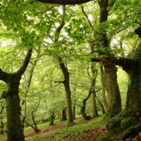 Quà tặng của mặt trời