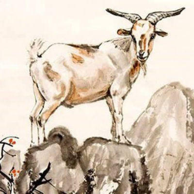 Vov - Truyên Kê Cho Be