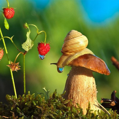 Vov - Truyên Kê Cho Be