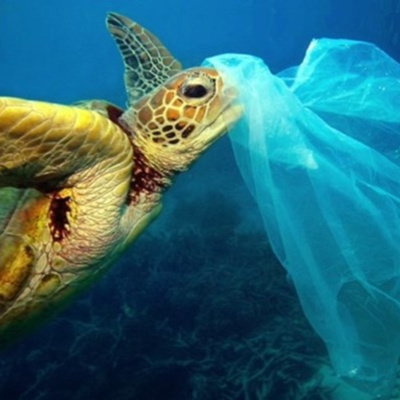 Vov - Truyên Kê Cho Be