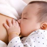 Cách gọi sữa về nhanh nhất