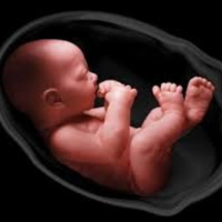 Thai máy bao nhiêu lần trong một giờ đồng hồ là bình thường?