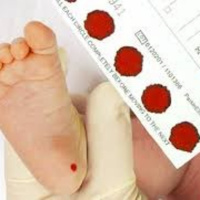 Quy trình sàng lọc sơ sinh tại Bệnh viện Phụ sản trung ương