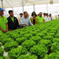 VOV - Sống chung với biến đổi khí hậu: Ứng dụng khoa học công nghệ: Hướng đi cho các hợp tác xã