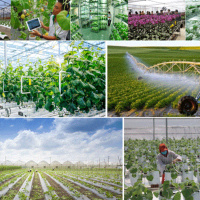 Kết nối công nghệ - Đầu tư công nghệ để gia tăng giá trị nông sản Việt