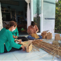 Tin trong nước: Cà Mau: Khởi nghiệp từ phế phẩm bồn bồn, tạo thêm thu nhập cho nhiều phụ nữ