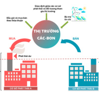 Chuyển đổi xanh - Khởi động dự án đào tạo và mô phỏng hệ thống trao đổi hạn ngạch phát thải tại Việt Nam