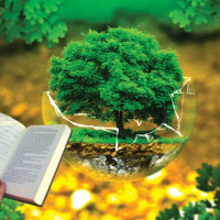 Biến đổi khí hậu - Ứng xử của con người quyết định chất lượng khí hậu