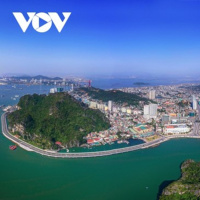 VOV - Sống chung với biến đổi khí hậu: Quảng Ninh: Chuyển đổi mô hình từ nâu sang xanh