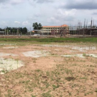 VOV - Tài nguyên và môi trường: Kiến nghị sửa đổi Điều 58 của Luật Đất đai 2013 về chuyển mục đích sử dụng đất trồng lúa