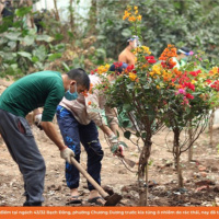 VOV - Biến đổi khí hậu: Nhân rộng các dự án cải tạo không gian xanh dựa vào cộng đồng