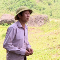 Tin trong nước: Hàng trăm héc ta đất trồng rừng bỏ hoang, người dân lao đao 