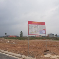 VOV - Tài nguyên môi trường: Tăng mức phạt người bỏ cọc - Giải pháp chặn chiêu trò đấu giá đất