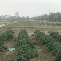 Tài nguyên môi trường - Hải Dương: Nhiều dự án phát triển đô thị gặp khó do vướng mắc mặt bằng