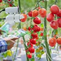 Kết nối công nghệ - Ứng dụng trí tuệ nhân tạo giúp cảnh báo và dự báo điều kiện môi trường trong sản xuất nông nghiệp