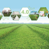 Chuyển đổi xanh - Chuyển đổi nông nghiệp xanh: phấn đấu đến năm 2025 không còn phát thải